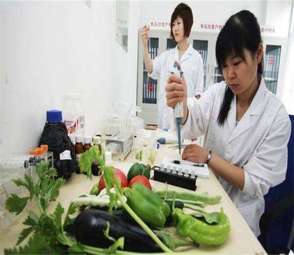 农药残留检测