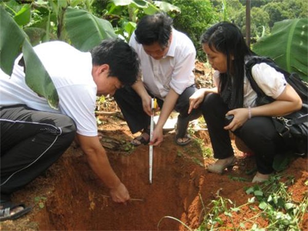 土壤检测