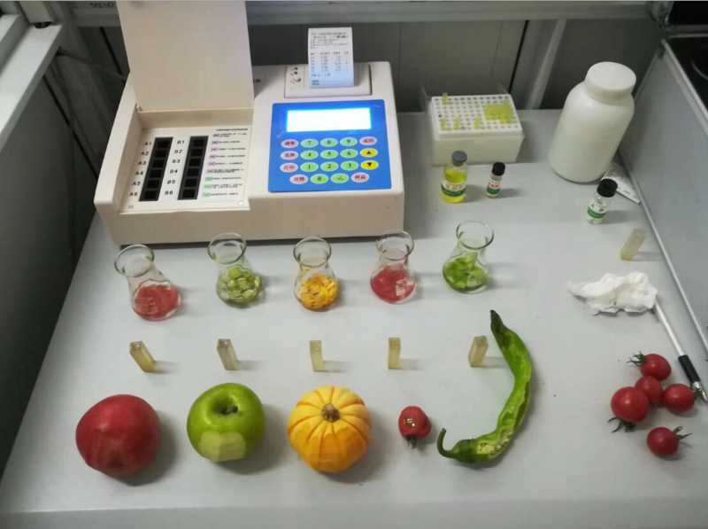 河北专业农残检测公司