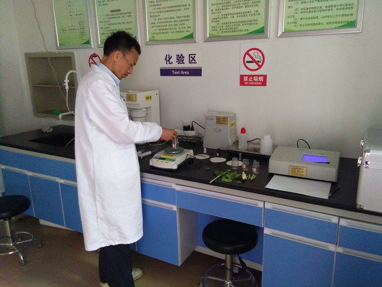 河北专业农残检测公司