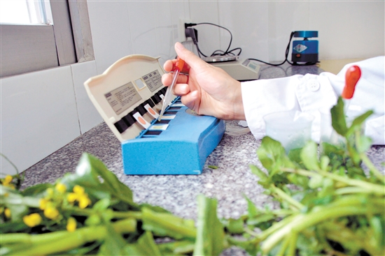 珠海专业土壤检测价格