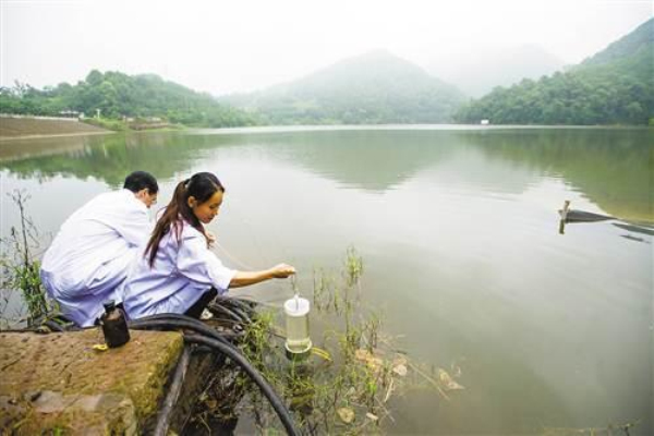 水检测机构